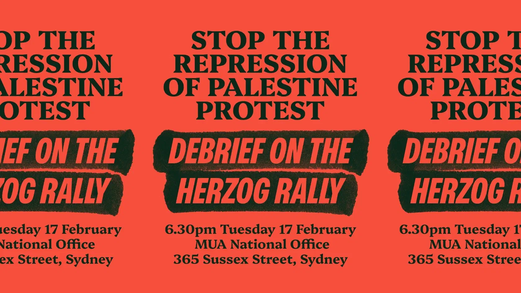 Event poster for the Debrief on the Herzog Rally meeting.