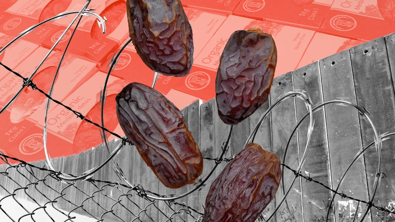 Collage composition of a West Bank barrier wall, the Harris Farm Markets store display, razor wire and scattered dates.